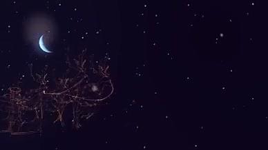 魔法绘画圣诞树文字标题动画视频的预览图